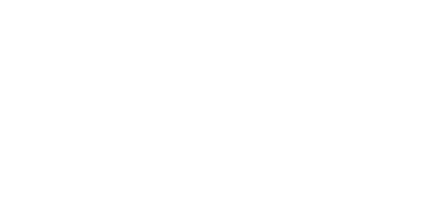 FOX logo